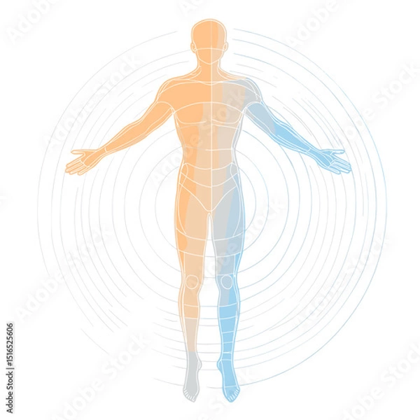 Obraz Abstract Human Body Illustration with Orange to Blue Gradient Over White Background Science and Future Concept