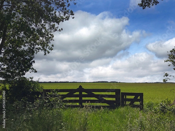 Fototapeta Wooden fence and view at the Uffelter Es at Uffelte Drenthe Netherlands. 
