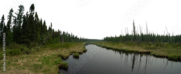 Fototapeta Panorama of a calm northern river surrounded by spruce and pine trees with a transparent sky
