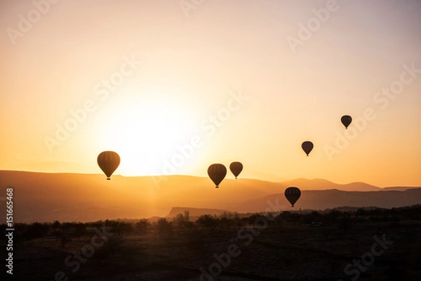 Obraz Hot air balloon in Cappadocia, Turkey