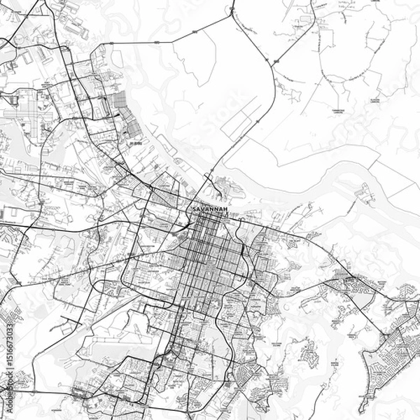 Fototapeta Savannah Area Map with Labels and Neighborhoods - One color, minimalistic design