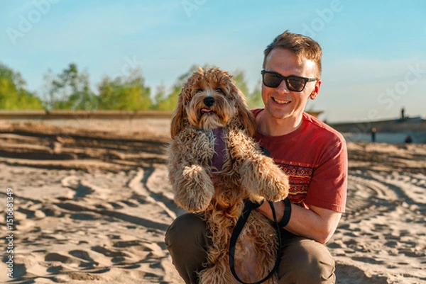Fototapeta A curly-haired brown Labradoodle or Cavapoo dog with a young man are best friends by the sea at sunset.