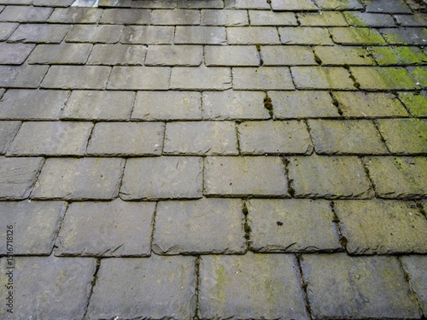 Fototapeta Weathered slate roof tiles with green moss growing between them.