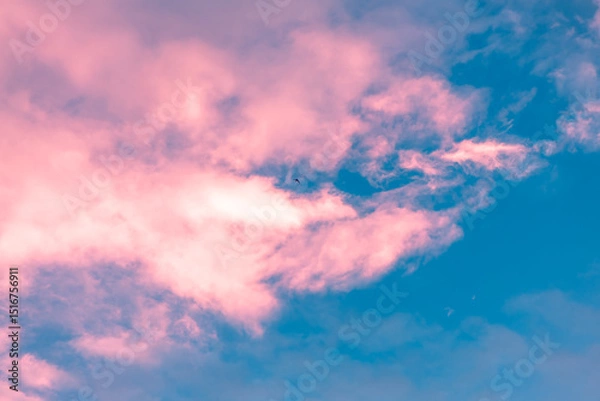 Fototapeta Pink and blue pastel colored sky with fluffy cloudscape and a single bird flying high above creating a dreamy, tranquil, and surreal atmosphere