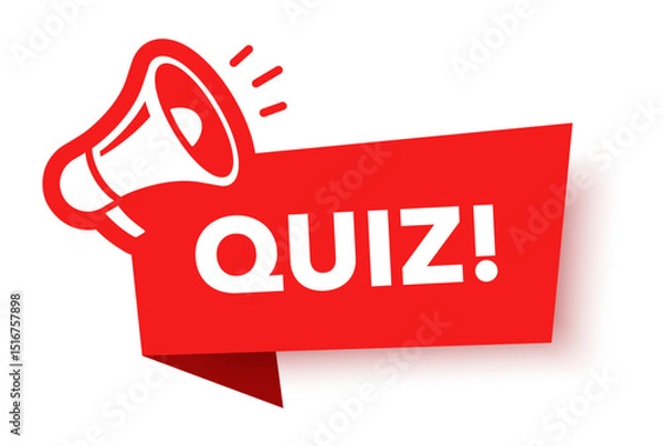 Obraz Megaphone with quiz speech bubble. Loudspeaker. Banner for business, marketing and advertising. Vector illustration.