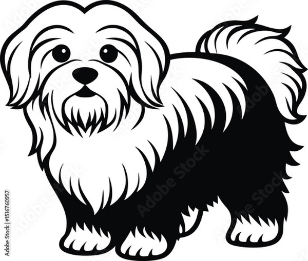 Fototapeta Adorable Maltese Silhouette: A charming Maltese dog in striking black and white silhouette, embodying playful charm. Capture the cuteness and essence of a beloved breed.