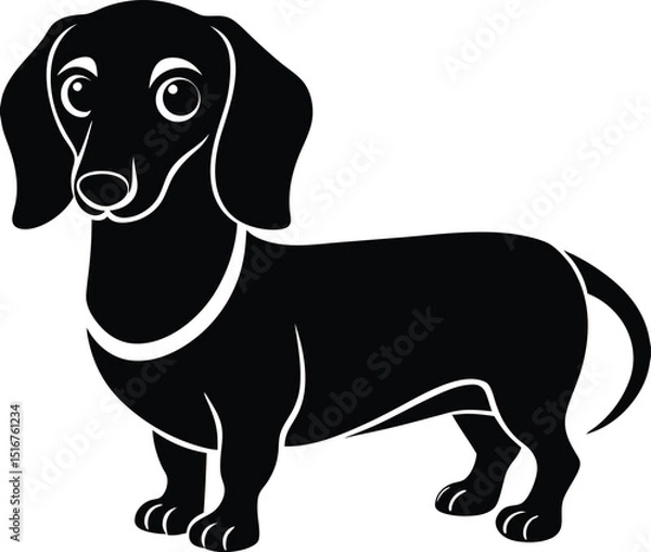 Fototapeta Dachshund Silhouette: A striking black and white silhouette captures the unique charm of a dachshund, standing proudly with its distinctive elongated body and floppy ears.