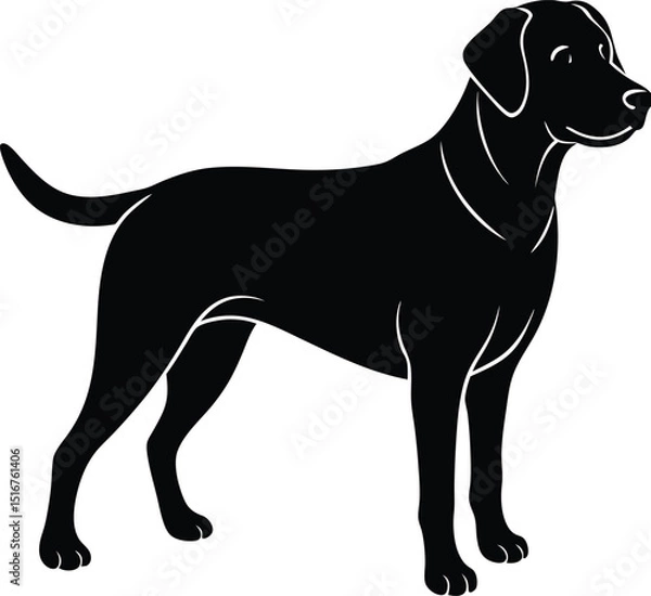 Fototapeta Labrador Silhouette: Elegant silhouette of a Labrador Retriever, showcasing its noble posture and friendly demeanor. A timeless image, ideal for various design projects.