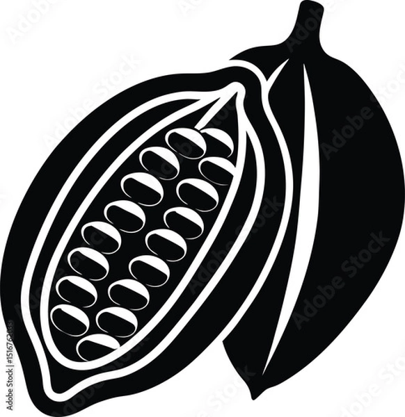 Obraz Cocoa Bean Delight: An artistic rendering of halved cocoa bean, rich in chocolate potential, set against cocoa bean, in minimalist monochrome design.