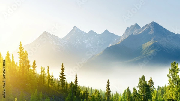 Obraz Rugged mountains partially veiled by low morning mist, surrounded by lush green pine trees and bathed in soft sunlight, creating serene and tranquil natural landscape
