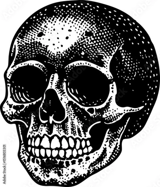 Obraz skull