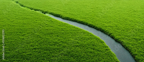 Fototapeta Green Artificial Turf Field With Gray Dividers