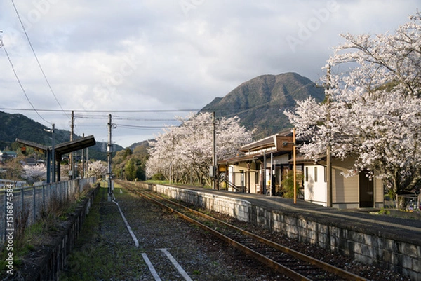 Obraz 桜咲く春の日田彦山線の採銅所駅