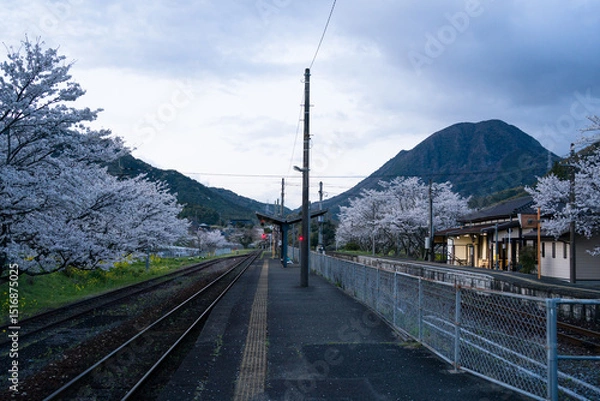 Obraz 桜咲く春の日田彦山線の採銅所駅