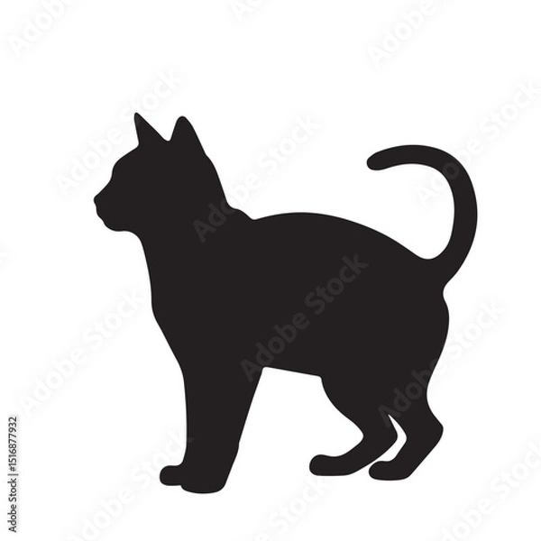Obraz cat silhouette vector