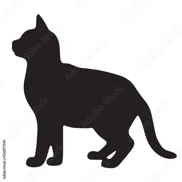 Obraz cat silhouette vector