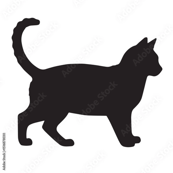 Obraz cat silhouette vector