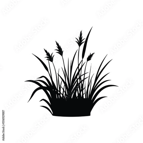 Obraz grass vector design.
