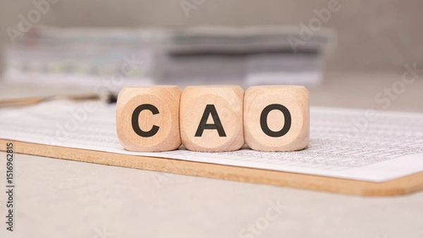 Obraz Wooden cubes forming the acronym "CAO" placed on a financial document in an office setting