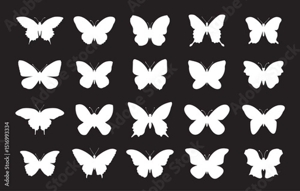 Fototapeta Set white outline butterfly and moths