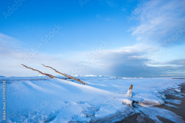 Obraz Icicles on snow. Guba Voronya, Barents Sea bay. Kola Peninsula landscape