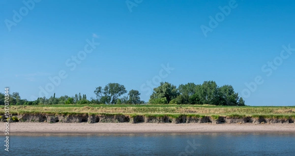 Obraz trees and eroding sand bank along river