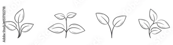 Obraz Plant line illustrations. Nature, planting and botany design element. Isolated vector image