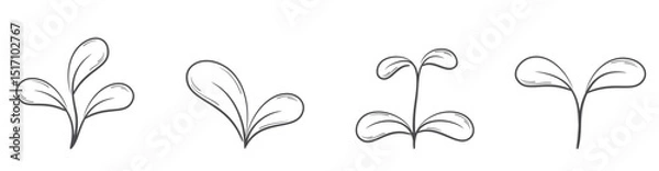 Obraz Growing plant sprout line illustrations. Nature, gardening and planting design elements. Isolated vector images