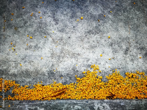 Fototapeta Abstract dry Burma Padauk flower on cement floor. Flowers fall season, space copy to fill text, source background to create graphic work. Heart sign, love symbol