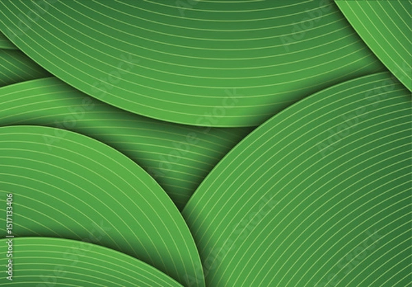 Obraz Green Background with aesthetic stacked and shaded layers