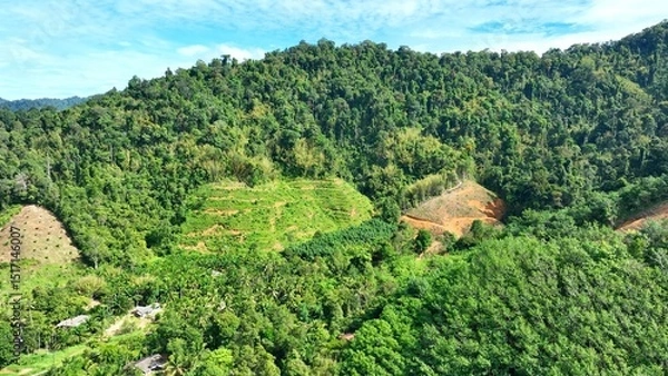 Obraz The image highlights agricultural land use, with cultivated fields sitting among vibrant green hills, showcasing a harmonious balance between farming and nature in a sustainable environment.
