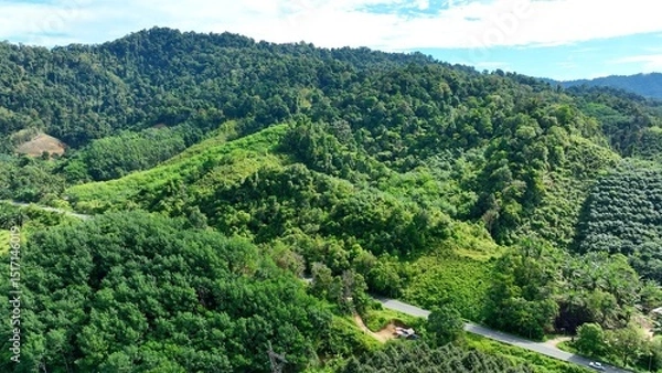 Fototapeta Captured from above, the agricultural land use reveals fields of crops spread across the lush hills, demonstrating efficient farming practices while blending seamlessly with the surrounding greenery.
