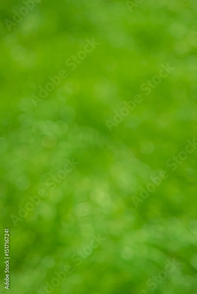 Fototapeta Defocused green background. Natural bokeh, blurred grass.