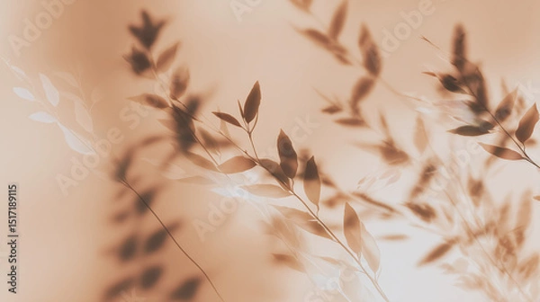 Fototapeta Soft shadows of leaves on warm beige background, natural abstract botanical silhouette for minimalist interior decor or organic design concept