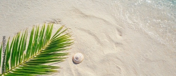Fototapeta Serene Beach Scene with Palm Leaf and Seashell on Soft Sand Along Gentle Ocean Waves