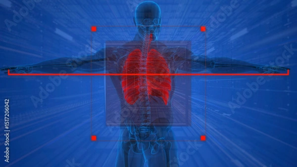 Obraz Pulmonary function. Lungs. Ribs and human respiration.
