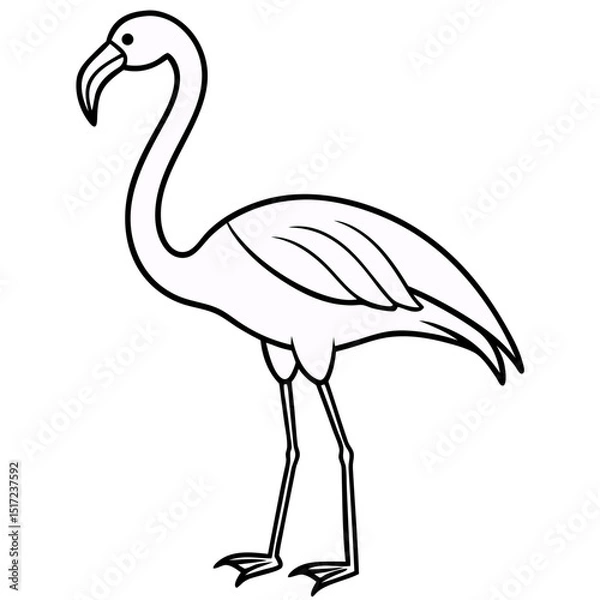 Fototapeta Illustration of a flamingo outline with long legs and curved neck in a simple design style drawing