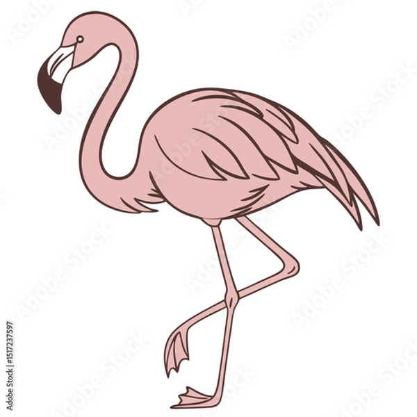 Fototapeta An illustration of a flamingo standing on one leg with its head turned to the side and a curved neck shape