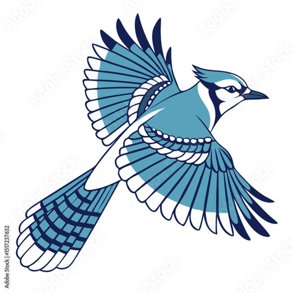 Fototapeta Illustration of a cyan and white bird in flight with detailed wing and tail feathers design shown clearly