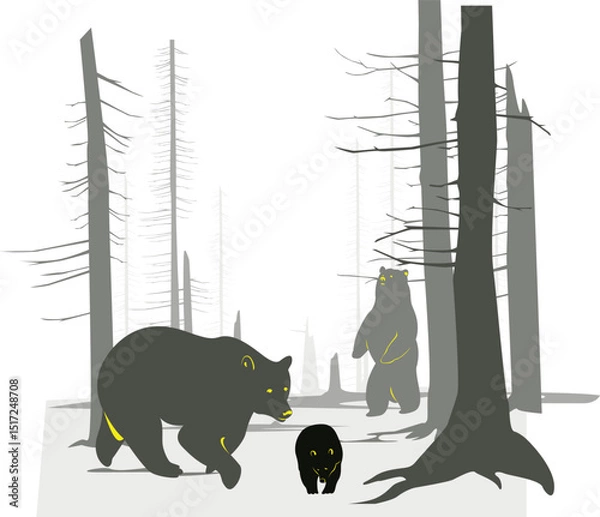 Obraz Vector Bears in winter forest landscape illustration drawing