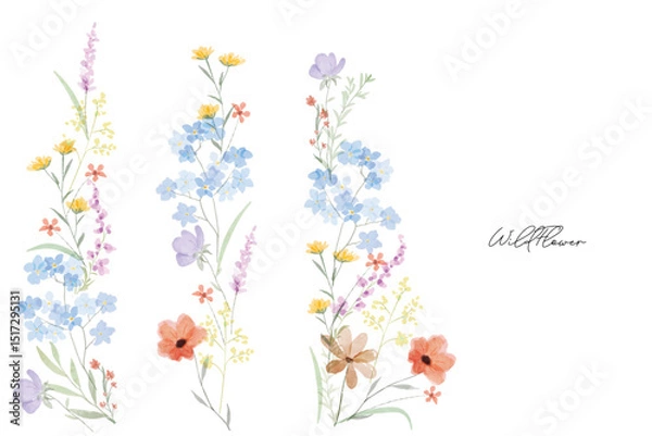 Obraz Colorful meadow wildflowers watercolor botanical background frame. Spring and summer Background watercolor arrangements with small flower. Botanical illustration minimal style.