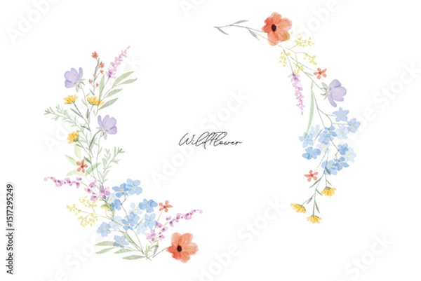 Obraz Colorful meadow wildflowers watercolor botanical background wreaht frame. Spring and summer Background watercolor arrangements with small flower. Botanical illustration minimal style.