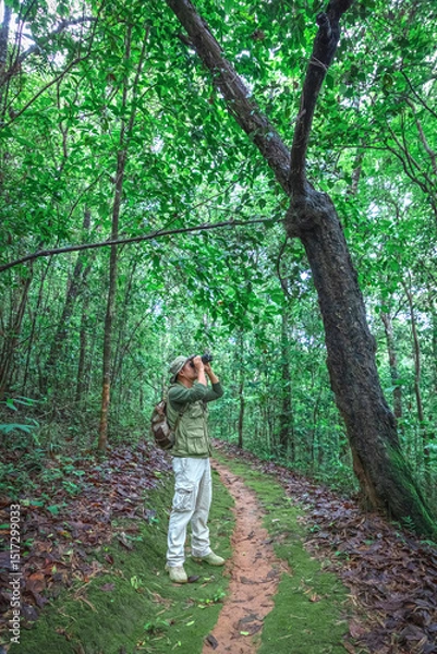 Fototapeta Hikers with backpacks walking on path in forest holding binoculars