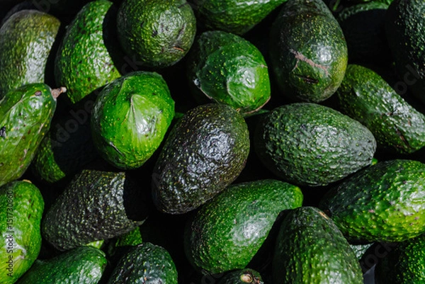 Fototapeta Close-up of fresh green avocados piled in a woven basket at a local outdoor market. The natural lighting highlights their texture and ripeness, ideal for culinary, agricultural, or nutritional