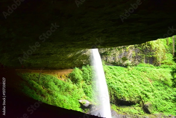 Fototapeta Silver Falls State Park
