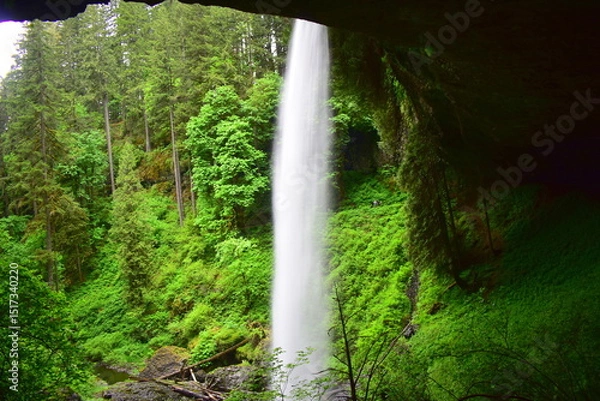 Fototapeta Silver Falls State Park