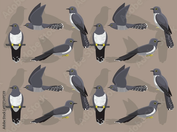 Fototapeta Common Cuckoo Bird Cartoon Character Seamless Wallpaper Background