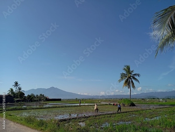 Fototapeta tropical beach with palm trees