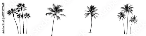 Fototapeta Stylish tropical palm tree silhouettes in a striking black and white aesthetic, ideal for modern decor, illustrations, and nature-inspired designs.