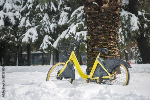 Fototapeta A yellow bicycle with a basket on the handlebars stands in a snowdrift leaning against the trunk of a palm tree